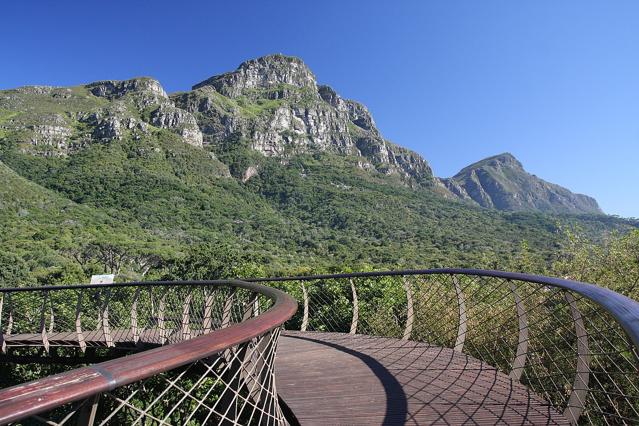 Kirstenbosch National Botanical Garden